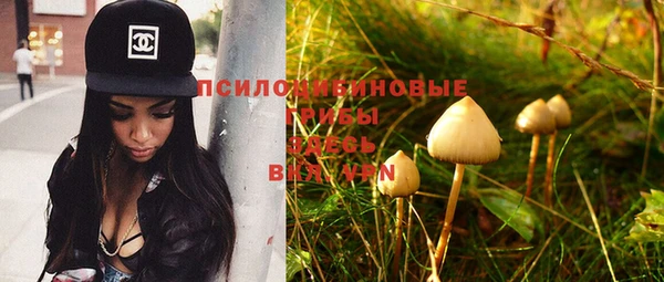 PSILOCYBIN Волоколамск